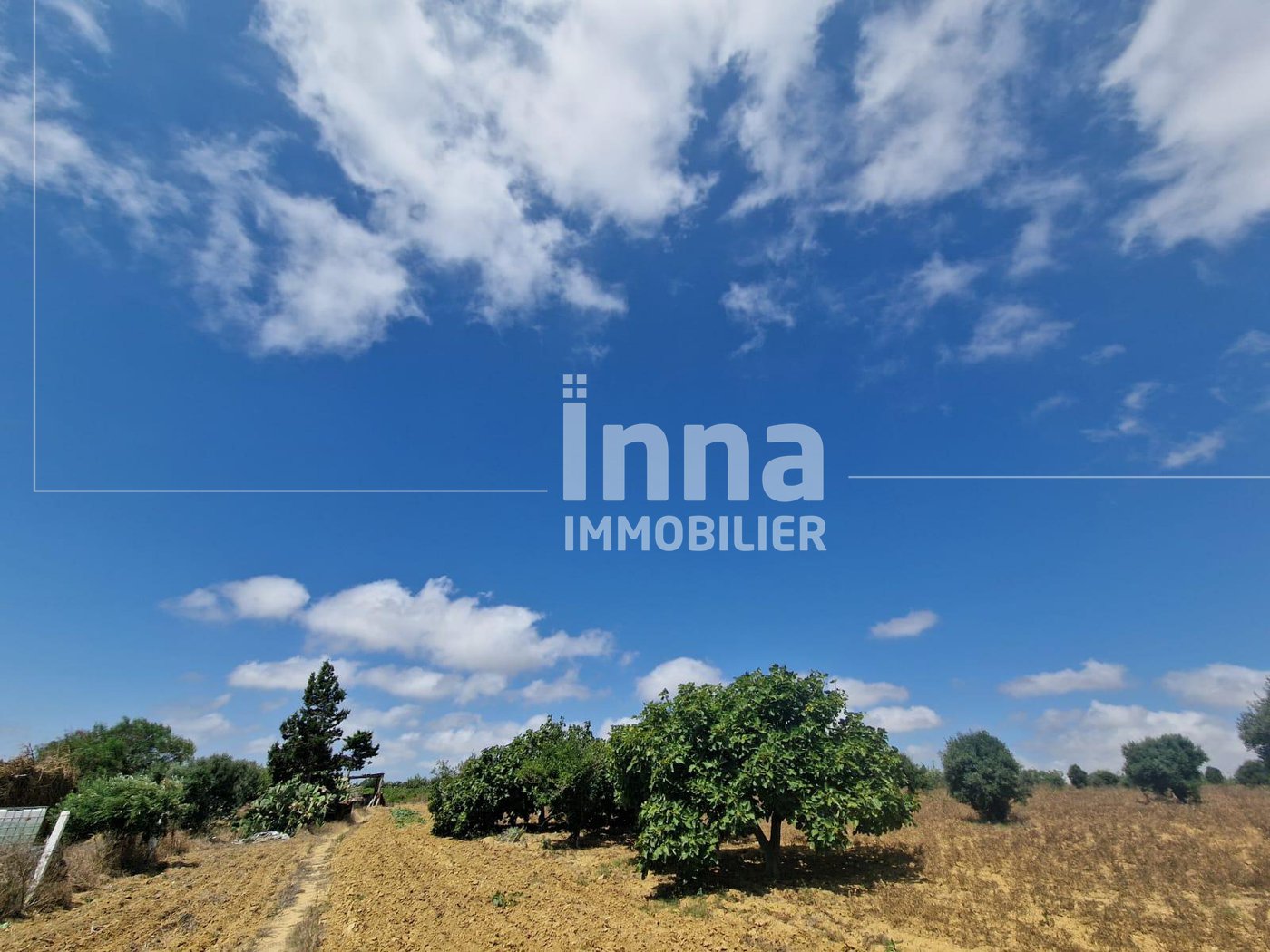 home-1